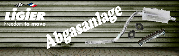 Abgasanlage